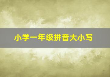 小学一年级拼音大小写