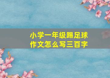 小学一年级踢足球作文怎么写三百字