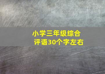 小学三年级综合评语30个字左右