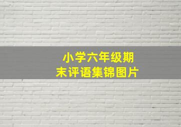 小学六年级期末评语集锦图片