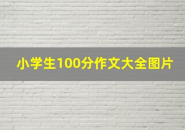 小学生100分作文大全图片