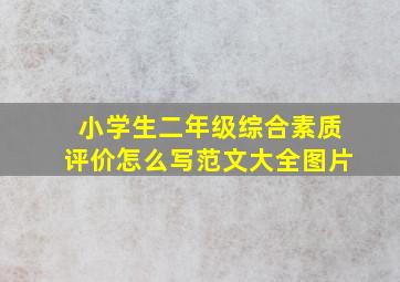 小学生二年级综合素质评价怎么写范文大全图片