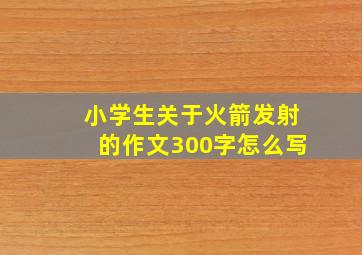 小学生关于火箭发射的作文300字怎么写