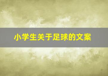 小学生关于足球的文案