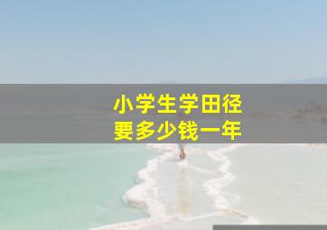 小学生学田径要多少钱一年