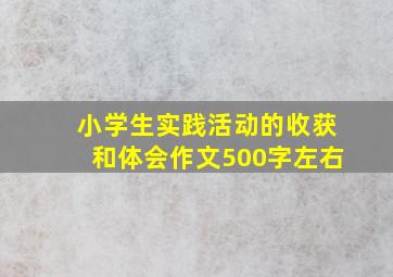 小学生实践活动的收获和体会作文500字左右