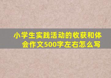 小学生实践活动的收获和体会作文500字左右怎么写