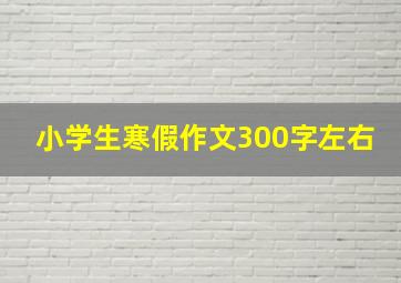 小学生寒假作文300字左右