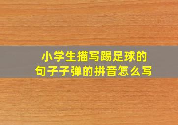 小学生描写踢足球的句子子弹的拼音怎么写