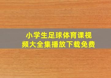 小学生足球体育课视频大全集播放下载免费