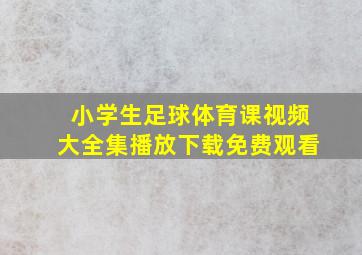 小学生足球体育课视频大全集播放下载免费观看