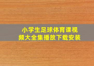 小学生足球体育课视频大全集播放下载安装