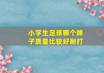 小学生足球哪个牌子质量比较好耐打