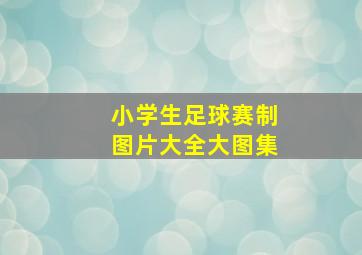 小学生足球赛制图片大全大图集