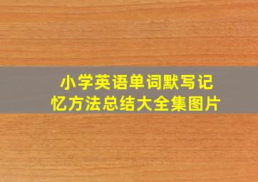 小学英语单词默写记忆方法总结大全集图片