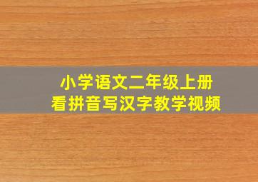 小学语文二年级上册看拼音写汉字教学视频