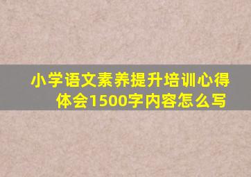 小学语文素养提升培训心得体会1500字内容怎么写