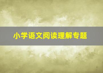 小学语文阅读理解专题