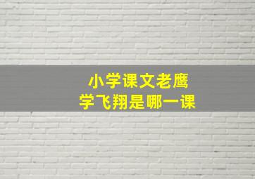 小学课文老鹰学飞翔是哪一课