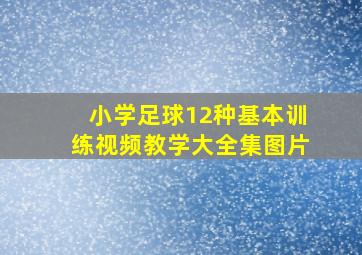 小学足球12种基本训练视频教学大全集图片