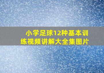 小学足球12种基本训练视频讲解大全集图片