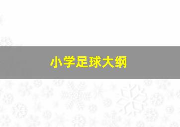 小学足球大纲