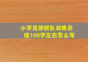 小学足球校队训练总结100字左右怎么写