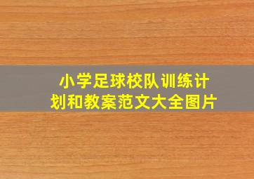 小学足球校队训练计划和教案范文大全图片