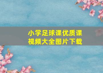 小学足球课优质课视频大全图片下载