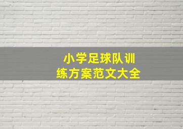 小学足球队训练方案范文大全