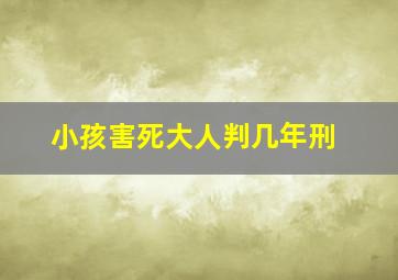 小孩害死大人判几年刑