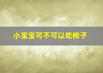 小宝宝可不可以吃柿子