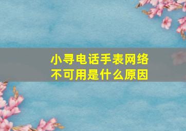 小寻电话手表网络不可用是什么原因