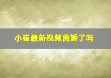 小崔最新视频离婚了吗