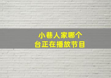 小巷人家哪个台正在播放节目