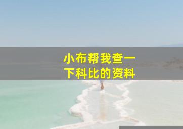 小布帮我查一下科比的资料