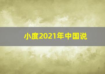 小度2021年中国说