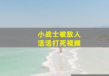 小战士被敌人活活打死视频