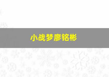 小战梦廖铭彬