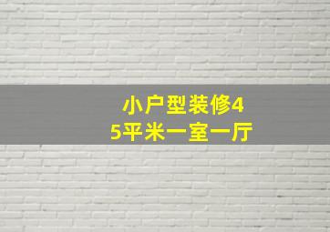 小户型装修45平米一室一厅