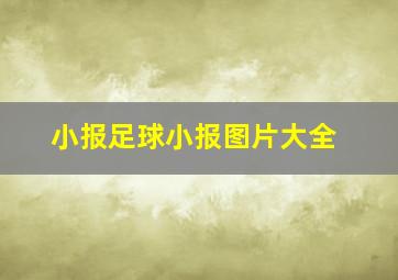 小报足球小报图片大全