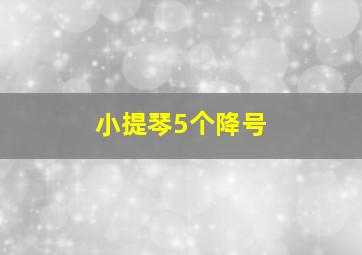 小提琴5个降号