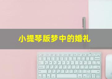 小提琴版梦中的婚礼