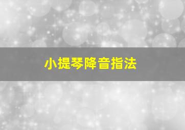 小提琴降音指法