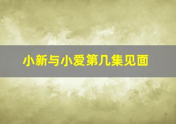 小新与小爱第几集见面