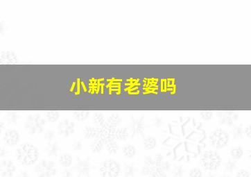 小新有老婆吗