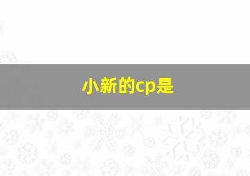 小新的cp是