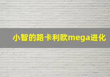 小智的路卡利欧mega进化