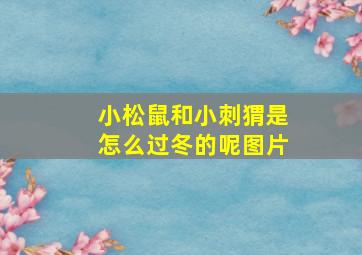 小松鼠和小刺猬是怎么过冬的呢图片