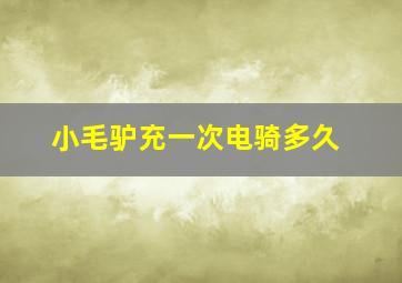 小毛驴充一次电骑多久